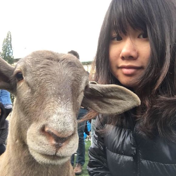 Meet your Posher, Jade yu-ju - Picture 1 of 1